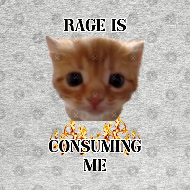 rage is consuming me kitten by InMyMentalEra